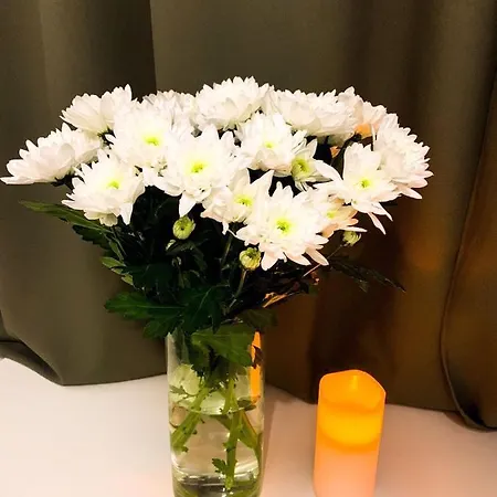 16 شقة فندقية